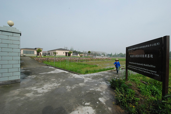 Testing Station for Genetically Modified Rice /upload/en/LargerImages/Big7958-8.jpg